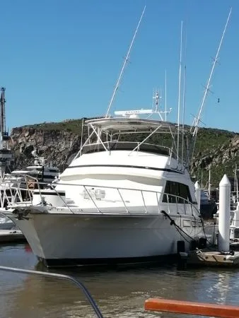 ensenada tuna fishing