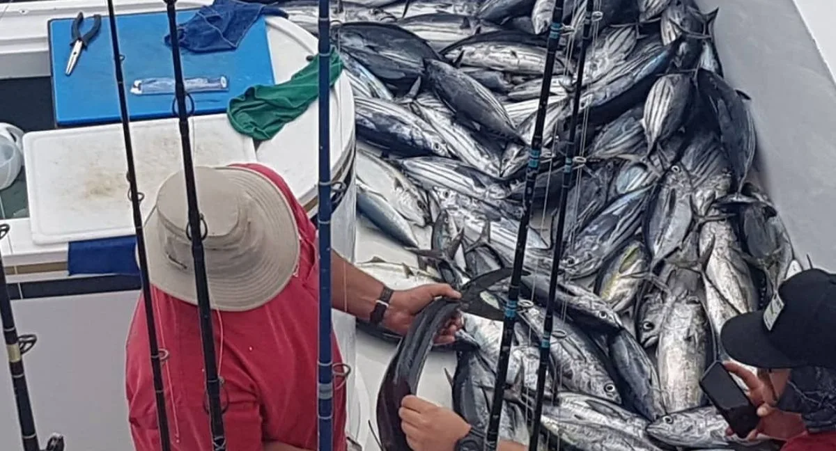 fishing in ensenada